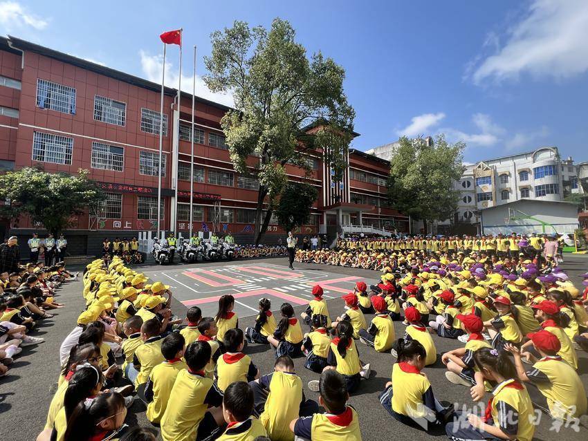 金皇冠免费下载